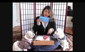 BarkBox Subscription Box January 2015 | BeautyInAmin