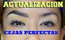 ✔️ACTUALIZACION  como hacerte unas CEJAS PERFECTAS🔪 / Perfect eyebrows | auroramakeup