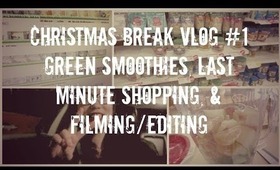 Christmas Break Vlog #1: 12/23/13 | heartandseoulx