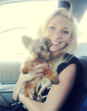 my wittle teacup yorkie, Louis V! <3