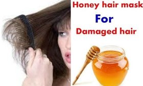 Homemade Honey hair mask for Damaged hair