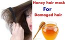 Homemade Honey hair mask for Damaged hair