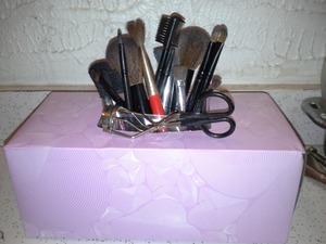 What do you think of using empty tissue boxes to hold your brushes?