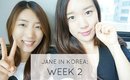 Come Follow Me: Jane in Korea | Week 2