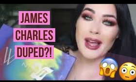 JAMES CHARLES PALETTE DUPE?! WET N WILD 40 PALETTE REVIEW & TUTORIAL