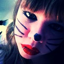 Kitty-cat 