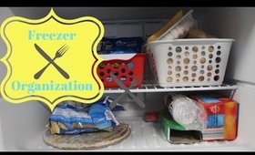 Freezer Tour and Organization