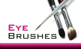 Essential Eye Make Up Brushes - PRO Tip