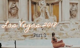 A Mess in Vegas! | Las Vegas Vlog Day 3 & 4