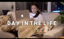 DAY IN THE LIFE | Hair Routine, House Cleaning, Healthy Snack Recipe You'll LOVE! - TrinaDuhra