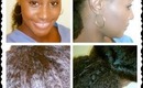 HOTW: Protective Style (NATURAL HAIR) Twist