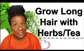 Tea and Herbs for Hair Growth You Should Try | Tea Rinsing on Natural Hair