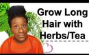 Tea and Herbs for Hair Growth You Should Try | Tea Rinsing on Natural Hair