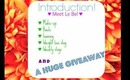 Introduction + GIVEAWAY! ♥ Ally LeBel