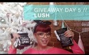12 Days of Christmas Giveaway - Day 5 {LUSH}