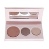 100% Pure Fruit Pigmented Pretty Naked Trio