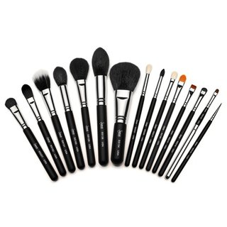 Sigma Makeup Premium Professional Kit with Brush Roll