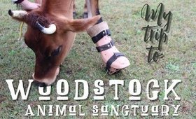 Woodstock Animal Sanctuary VLOG! | Ashley Morganic