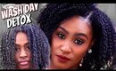 NATURAL HAIR DETOX WASH DAY with ONE BRAND ONLY! | Shlinda1