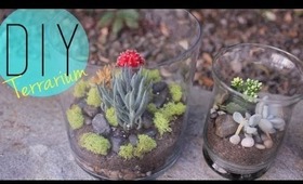 DIY Indoor Garden - Terrarium Father's Day Gift Idea