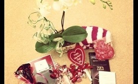 February Favourites 2013