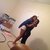 Sydney S.
