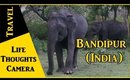 Travel Diary : Bandipur in Karnataka (India) - Ep 144 | Life Thoughts Camera