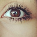 brown eyes 