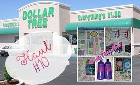 Dollar Tree Haul #10 | May 2017 *New Finds* | PrettyThingsRock