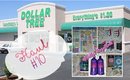 Dollar Tree Haul #10 | May 2017 *New Finds* | PrettyThingsRock