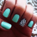 Nails Mint 