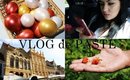 Vlog de Paste | Intalnire cu bloggeritele, Slujba de Inviere, Brasov, In vizita la bunici