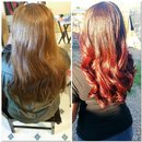Brown To Burgundy Ombre