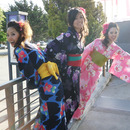 Colorful Yukata at Northern California Cherry Blossom Festival!