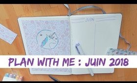 PLAN WITH ME : Bullet Journal Juin 2018