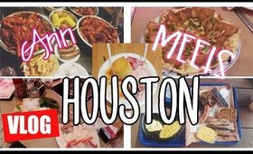 🚗 Houston Travel Diary: Shaved Ice 🍧, Best Hotdogs, Crazy Gas Station⛽️!