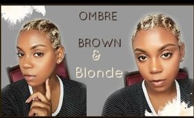 OMBRE BLONDE TO BROWN HAIRL COLOR