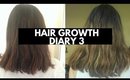 Hair Growth Journey: Diary 3