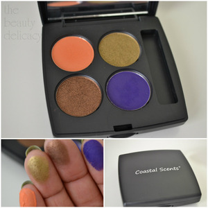 custom palette featuring coastal scents pod shadows