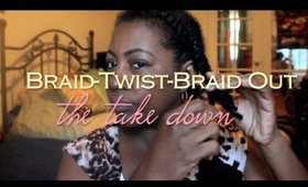 The Braid Twist Braid Out: Takedown