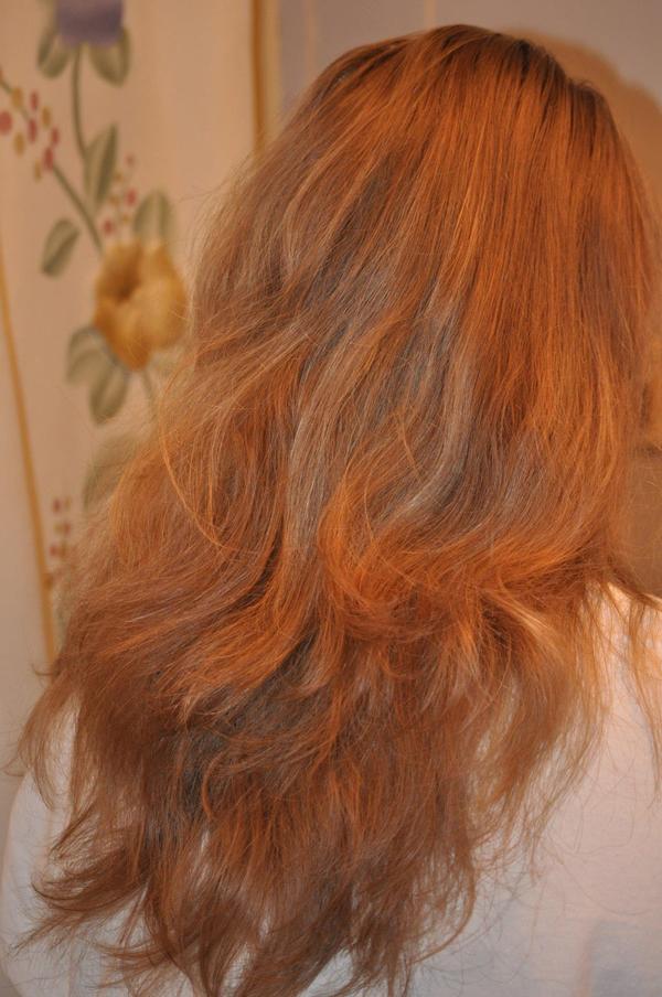 Hair Before Highlights Priscilla M.'s (PriscillaMonroe) Photo