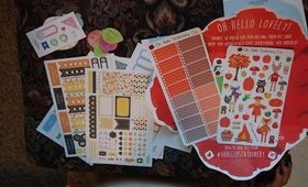 Etsy Sticker Haul: Organizing Companion, Sweet Ava, Oh Hello