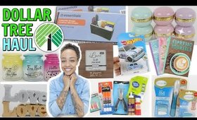 DOLLAR TREE HAUL! THE ITEMS YOU ASKED FOR! SO MANY NEW FINDS AND MORE!