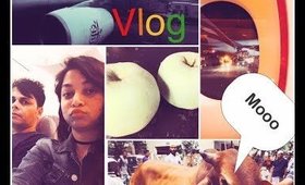 Weekly Vlog 3: Rant, Eid Celebration, long journey || Makeover Obsessions ||