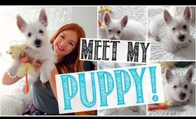 I GOT A PUPPY! + Puppy haul!