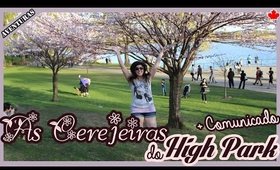 O que FAZER em TORONTO: As Cerejeiras do HIGH PARK + AVISO  |  É tempo de sakura