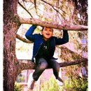 My son in a tree