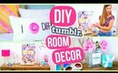 DIY Room Decor! Tumblr Inspired Room Decorations!