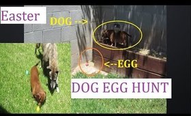 Dog Easter Egg Hunt 2019