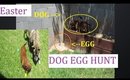 Dog Easter Egg Hunt 2019